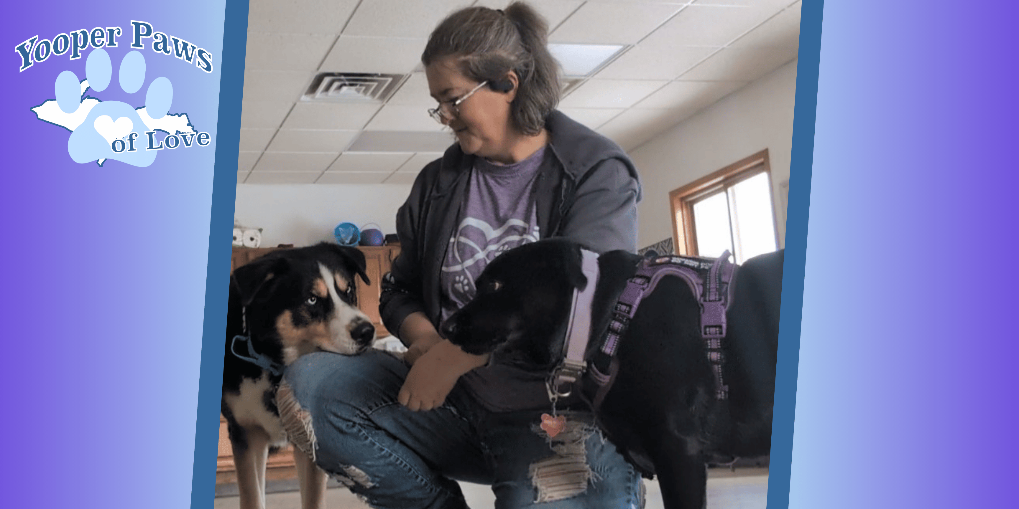 A female dog trainer squats down while a husky lays his chin on one leg and a black lab lays her chin on the other leg.